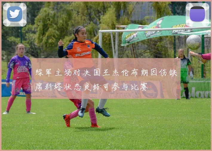绿军主场对决国王杰伦布朗因伤缺席科塔状态良好可参与比赛